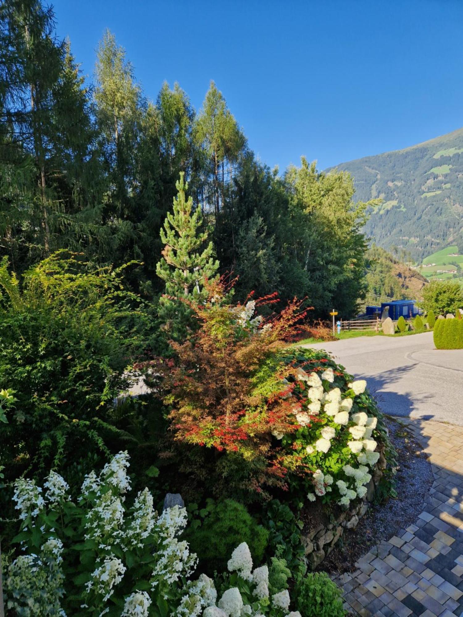 Haus Roland Διαμέρισμα Zell am Ziller Εξωτερικό φωτογραφία